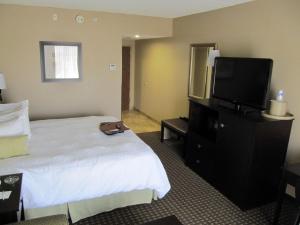 Postel nebo postele na pokoji v ubytování Hampton Inn Lindale/Tyler