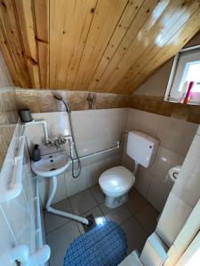 małą łazienkę z toaletą i umywalką w obiekcie Homestay Djerkovic w mieście Žabljak