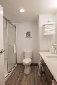 a bathroom with a toilet and a glass shower at Hampton Inn Medina in Medina