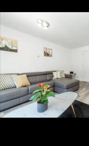 a living room with a couch and a table with a plant at Unique comfortable Apartment in Abbey Wood