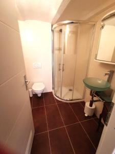 a bathroom with a shower and a toilet at La Bergerie in La Neuveville