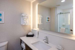 Hampton Inn & Suites Alpharetta Roswell的一间浴室