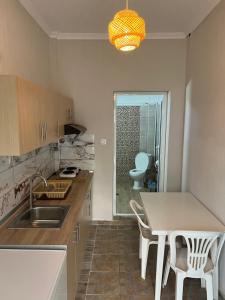 a kitchen with a sink and a table and a toilet at Lafazanis rooms in Nea Vrasna