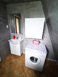 a bathroom with a toilet and a sink at Livada Becica in Cărbunari