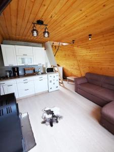 Cărbunari的住宿－Livada Becica，带沙发的客厅和厨房