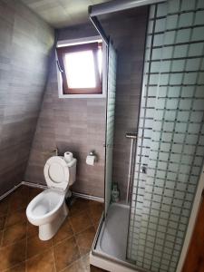 a small bathroom with a toilet and a shower at Livada Becica in Cărbunari