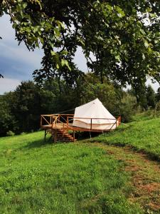 a white tent sitting in a field next to a tree at Livada Becica in Cărbunari