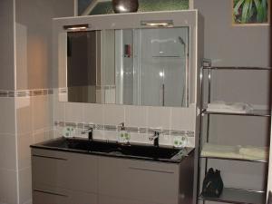 uma casa de banho com um lavatório e um espelho em Chambres D'hôtes Bel'vue em Chauvigny