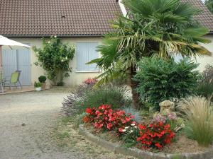 a garden with flowers and a palm tree in front of a house at Chambres D'hôtes Bel'vue in Chauvigny