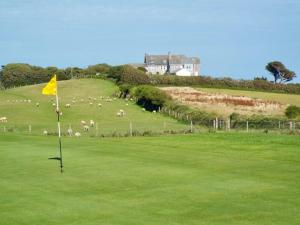 a herd of sheep grazing on a green field at 9 The Downs, Thurlestone, South Devon on the coastal footpath overlooking Burgh Island in Thurlestone