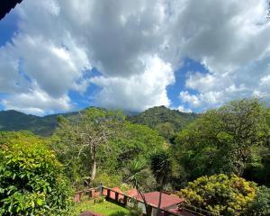 a view of a forest with mountains in the background at Minca Santa Marta Casa Scalea in Minca