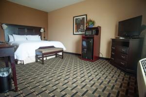 ein Hotelzimmer mit einem Bett und einem Flachbild-TV in der Unterkunft Hampton Inn & Suites Palestine in Palestine
