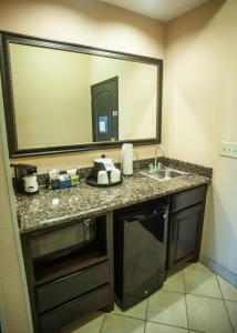 a bathroom with a sink and a mirror at Hampton Inn & Suites Palestine in Palestine