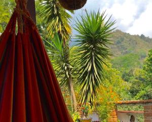 a room with two palm trees and a mountain at Minca Santa Marta Casa Scalea in Minca