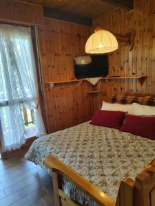 a bedroom with a bed and a television in a room at MONTAGNA CHE PASSIONE in Chiomonte