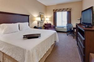 Hampton Inn & Suites Sacramento-Airport-Natomas في سكرامنتو: غرفة فندقية بسرير وتلفزيون بشاشة مسطحة