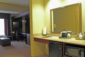 een hotelkamer met een wastafel en een spiegel bij Hampton Inn & Suites - Saint Louis South Interstate 55 in Saint Louis