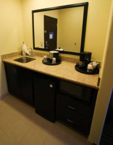 a bathroom with a sink and a large mirror at Hampton Inn & Suites - Saint Louis South Interstate 55 in Saint Louis