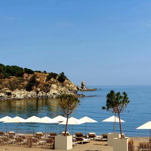 plaża z białymi parasolami i krzesłami oraz oceanem w obiekcie Face à la mer Résidence Les Elmes w mieście Banyuls-sur-Mer