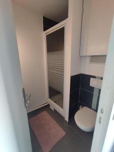 a small bathroom with a toilet and a shower at Studio 27m2 77410 Claye Souilly CDG Disney Astérix in Claye-Souilly