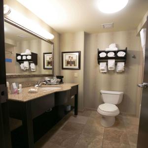 a bathroom with a toilet and a sink and a mirror at Hampton Inn & Suites McAlester in McAlester