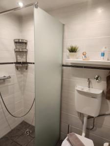 La salle de bains est pourvue d'une douche, de toilettes et d'un lavabo. dans l'établissement Ferienwohnung Salut, à Sarrebruck