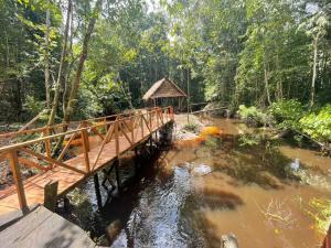 un puente de madera sobre un río en un bosque en Stay at the river house en Iquitos