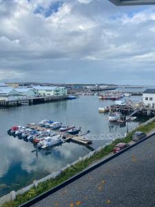 uma vista para uma marina com barcos na água em Bangsund harbour view em Vardo