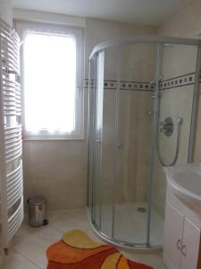 a bathroom with a shower and a sink at Ferienhaus Harzidyll in Schierke