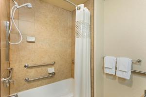 Koupelna v ubytování Hampton Inn & Suites Pharr
