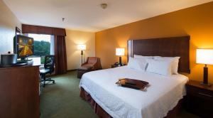 科尼利亞的住宿－科妮莉亞漢普頓酒店，酒店客房,床上装有行李箱