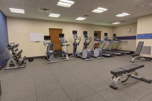a gym with rows of treadmills and exercise machines at Hampton Inn & Suites by Hilton Tampa Busch Gardens Area in Tampa