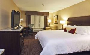 Habitación de hotel con cama y escritorio con TV. en Hilton Garden Inn Clovis en Clovis