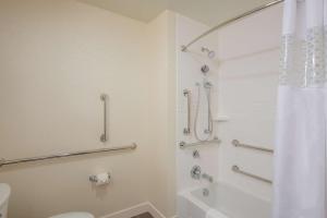 吉尔伯特Hampton Inn & Suites Phoenix - East Mesa in Gilbert的带淋浴和卫生间的浴室