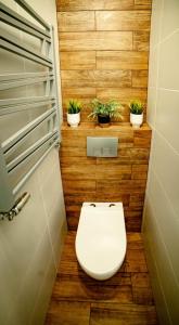 納梅斯武夫的住宿－LOFT APARTAMENT NAMYSŁÓW，浴室内有盆栽植物,设有卫生间