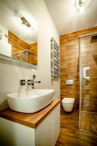 納梅斯武夫的住宿－LOFT APARTAMENT NAMYSŁÓW，浴室配有大型白色水槽和淋浴。