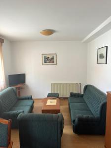Sala de estar con 2 sofás y mesa de centro en Apartment Bella en Požega