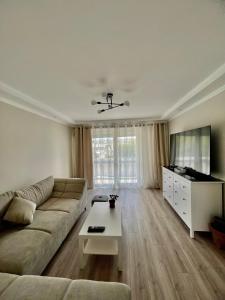 TV a/nebo společenská místnost v ubytování À 10 min du centre de strasbourg appartement netflix + 16 fotografií