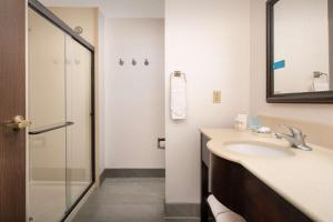 un baño con lavabo y ducha en Hampton Inn & Suites Lake City, en Lake City 12 fotos más