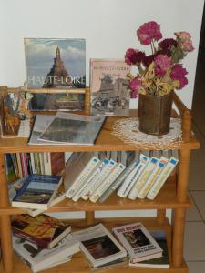 une étagère remplie de livres et d'un vase de fleurs dans l'établissement GITE LES 1000 FLEURS, à Souteyros
