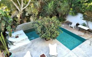 einen Blick über einen Pool mit weißen Stühlen und Bäumen in der Unterkunft Narcisses House in La Marsa