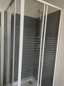 eine Dusche mit Glastüren im Bad in der Unterkunft Am Bahnhof in Zwickau