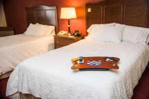 una guitarra en una cama en una habitación de hotel en Hampton Inn Lexington - Georgetown I-75 en Georgetown