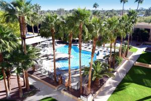 Bazén v ubytování DoubleTree by Hilton Tucson-Reid Park nebo v jeho okolí