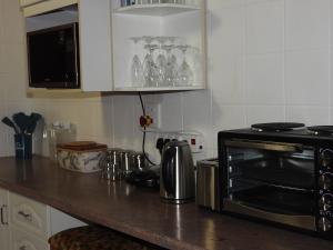 a kitchen counter with a stove and a microwave at African Kruger Lodge in Marloth Park