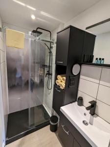 ein Bad mit einer Dusche und einem Waschbecken in der Unterkunft Ferienhaus Tinyhouse21 Wasserkuppe in Obernhausen