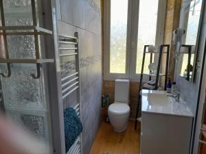 łazienka z toaletą i umywalką w obiekcie Manoir Demouret Sarlat w mieście Sarlat-la-Canéda