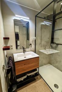 a bathroom with a sink and a shower at Entre mare et chêne in Frasnes-lez-Anvaing