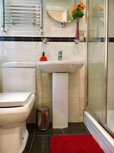 a bathroom with a toilet and a sink and a shower at One Bedroom Flat in Central London in London