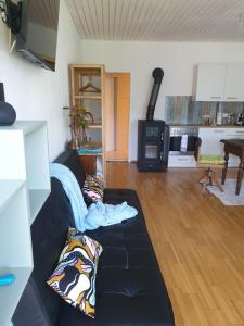 Posedenie v ubytovaní Ferienwohnung mit Pool an der Apfelstraße